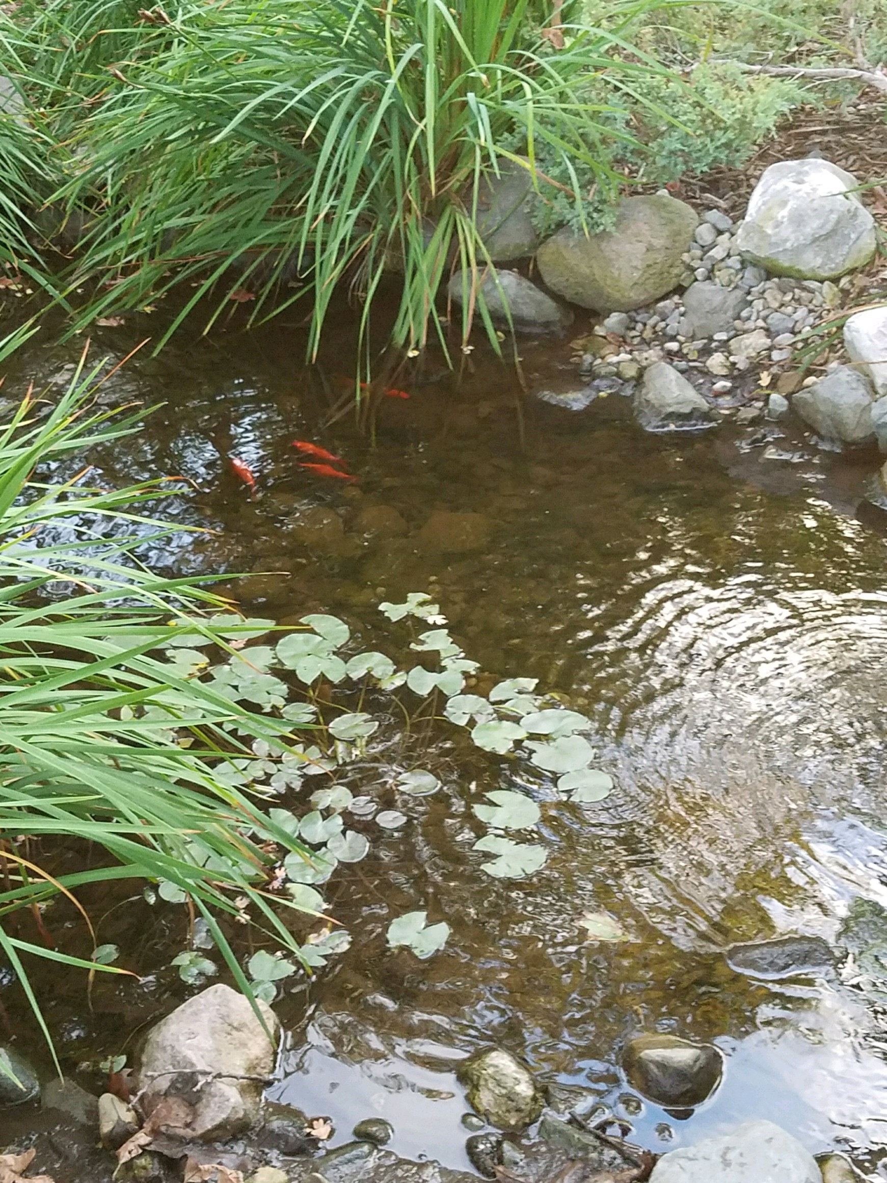 Virtual field trips image