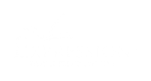 expression-website-home-300x162